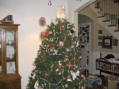 IMG_0548