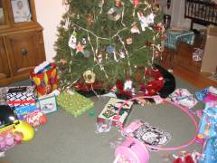 IMG_0549