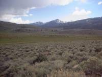 PDC_0008
