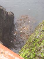 IMG_1844 La Bufadora wassn't really blowing (Low tide), maybe all the trash was clogging it?