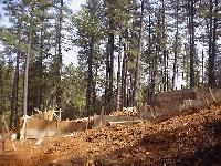 Building Forms April 14, 2001